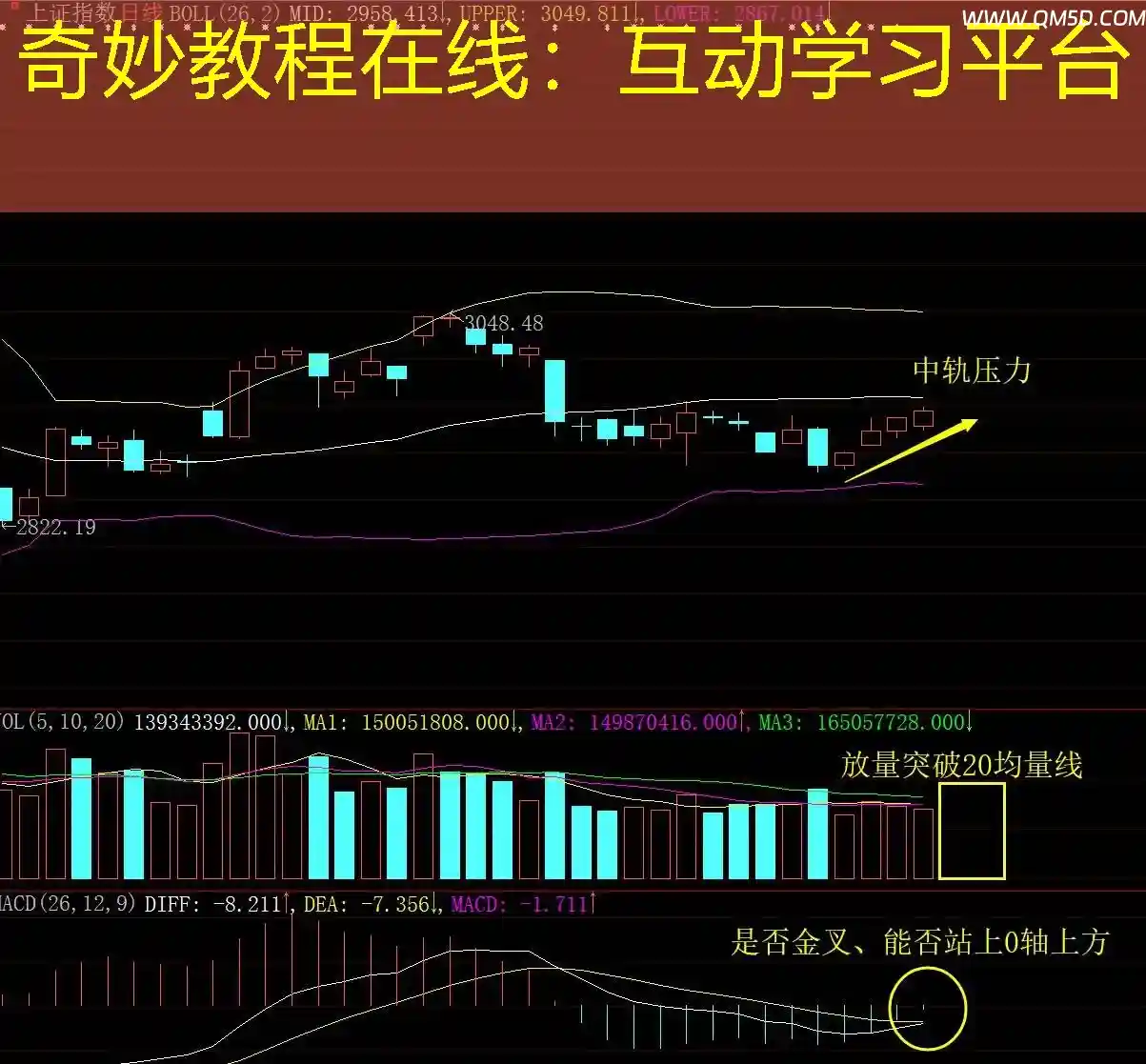 奇妙教程在线：互动学习平台