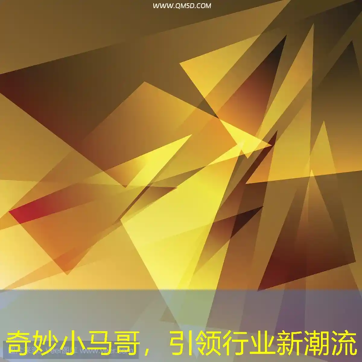 奇妙小马哥，引领行业新潮流