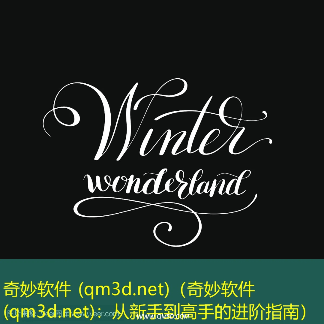 奇妙软件 (qm3d.net)（奇妙软件(qm3d.net)：从新手到高手的进阶指南）