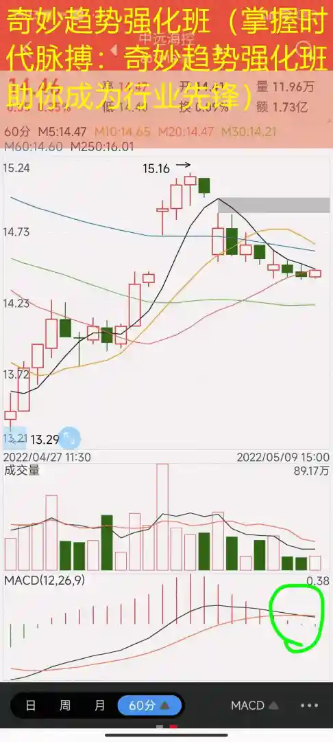奇妙趋势强化班（掌握时代脉搏：奇妙趋势强化班助你成为行业先锋）