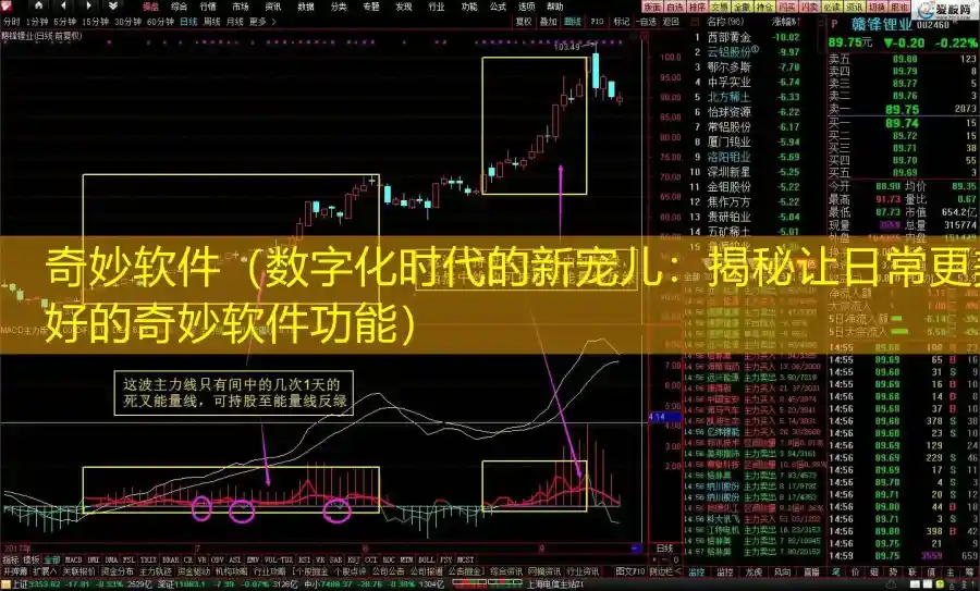 奇妙软件（数字化时代的新宠儿：揭秘让日常更美好的奇妙软件功能）