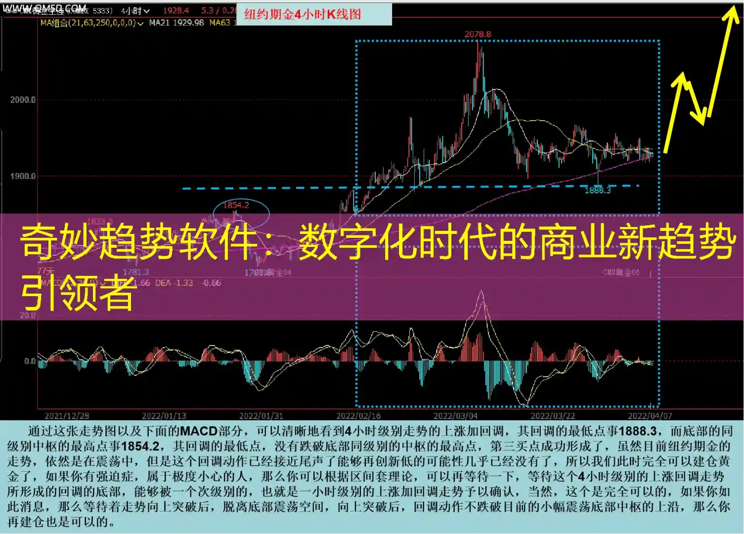 奇妙趋势软件：数字化时代的商业新趋势引领者