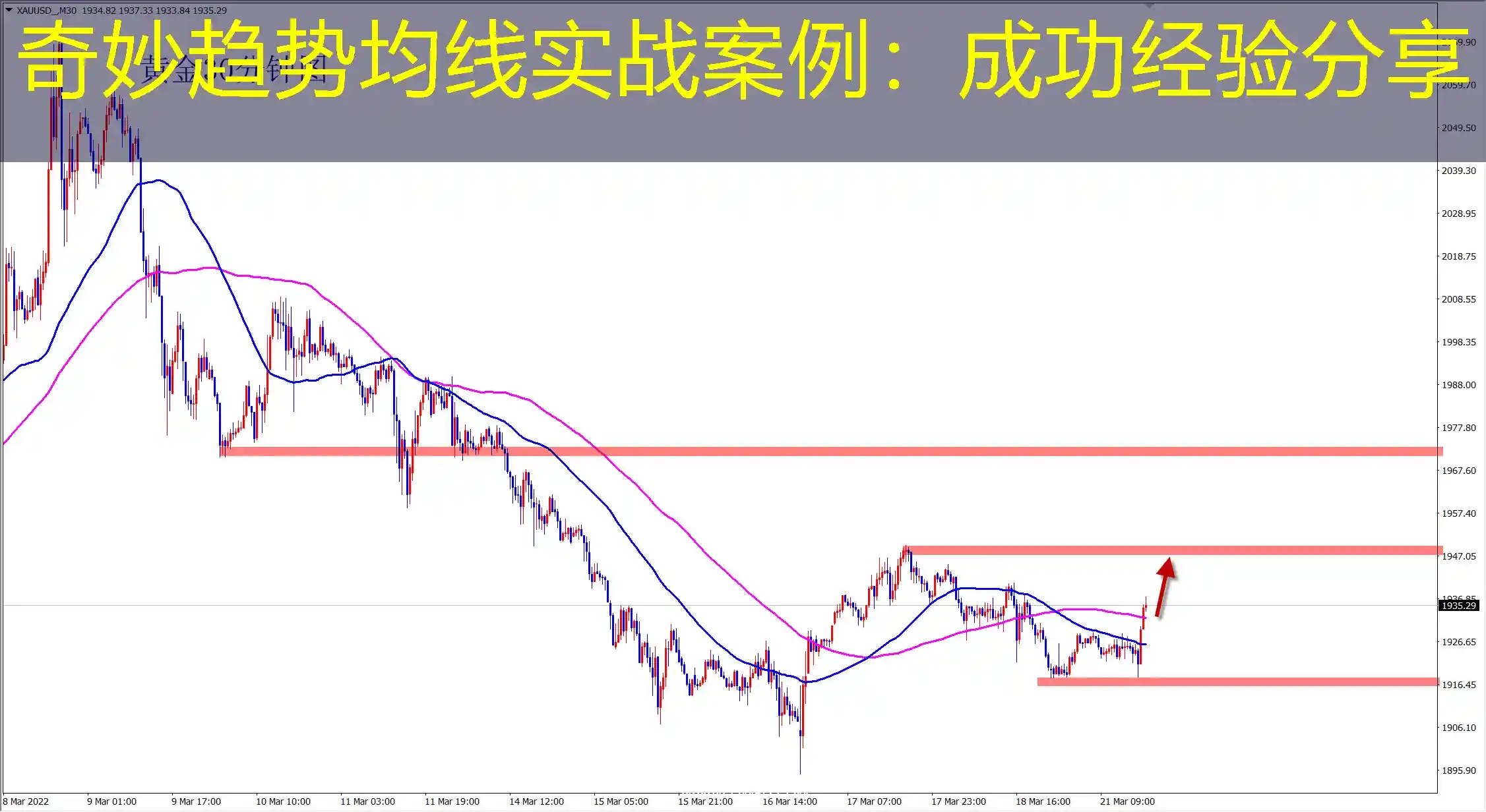 奇妙趋势均线实战案例：成功经验分享