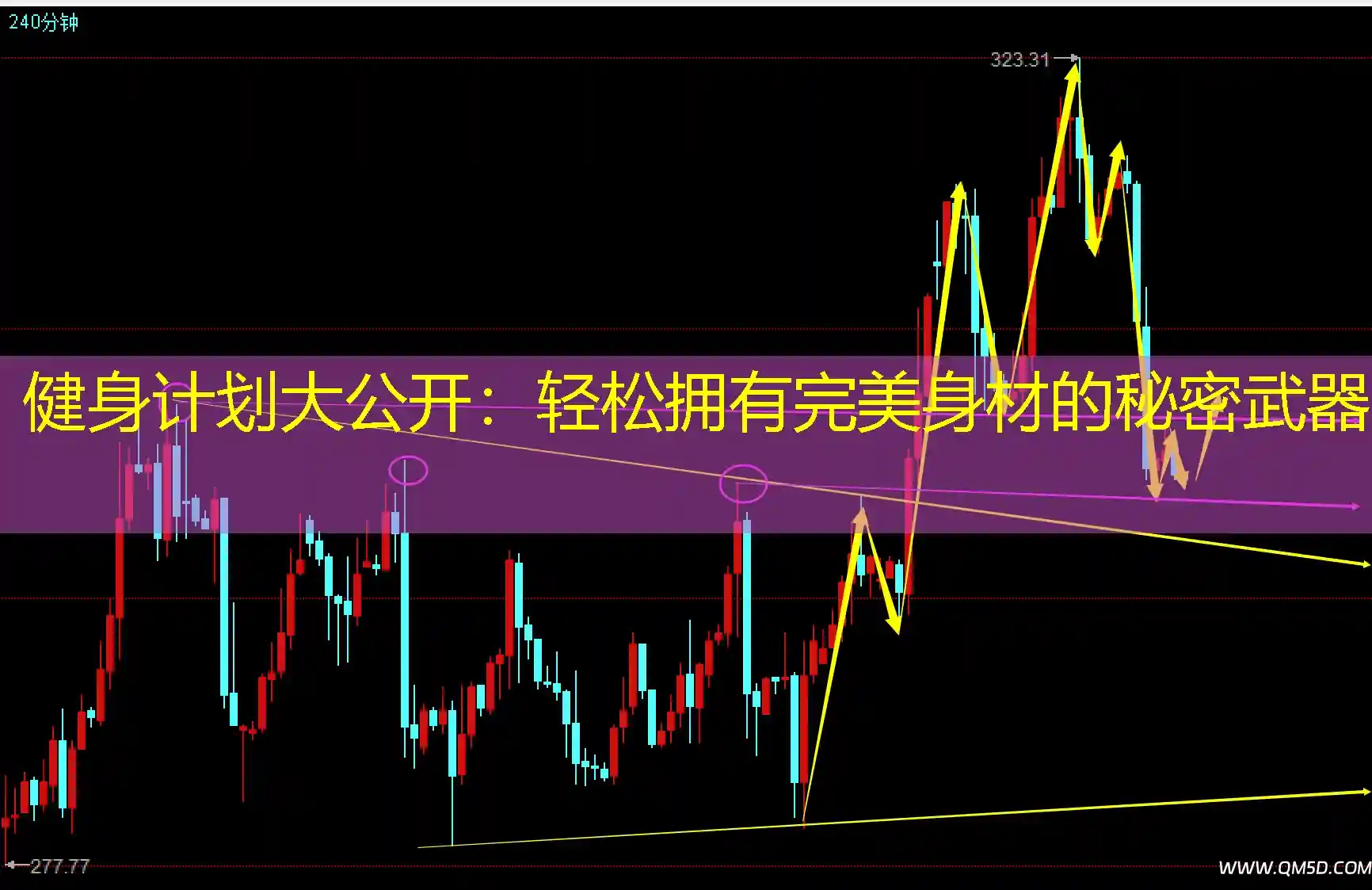 健身计划大公开：轻松拥有完美身材的秘密武器