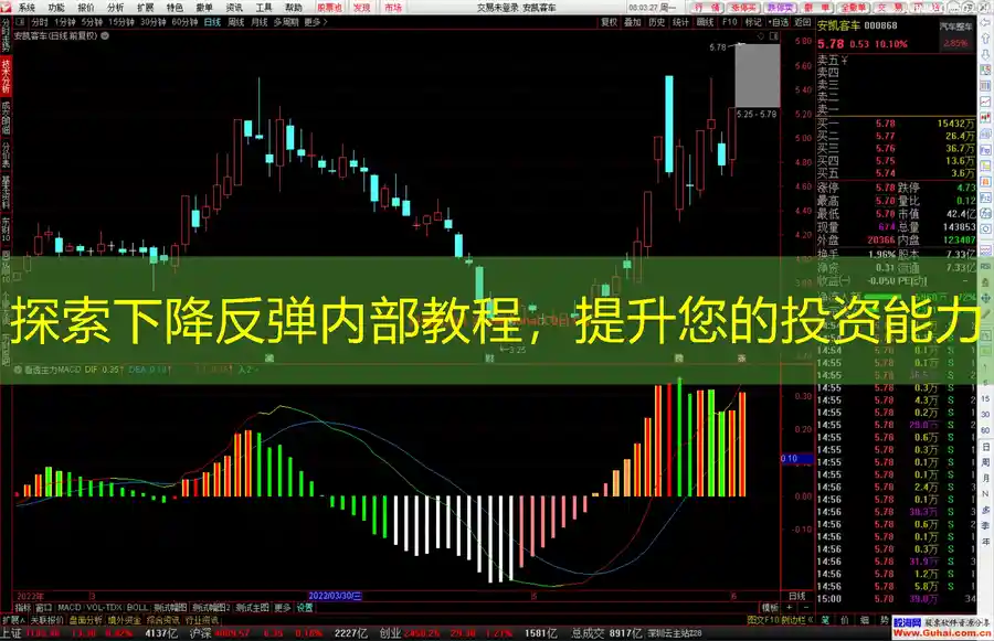 探索下降反弹内部教程，提升您的投资能力