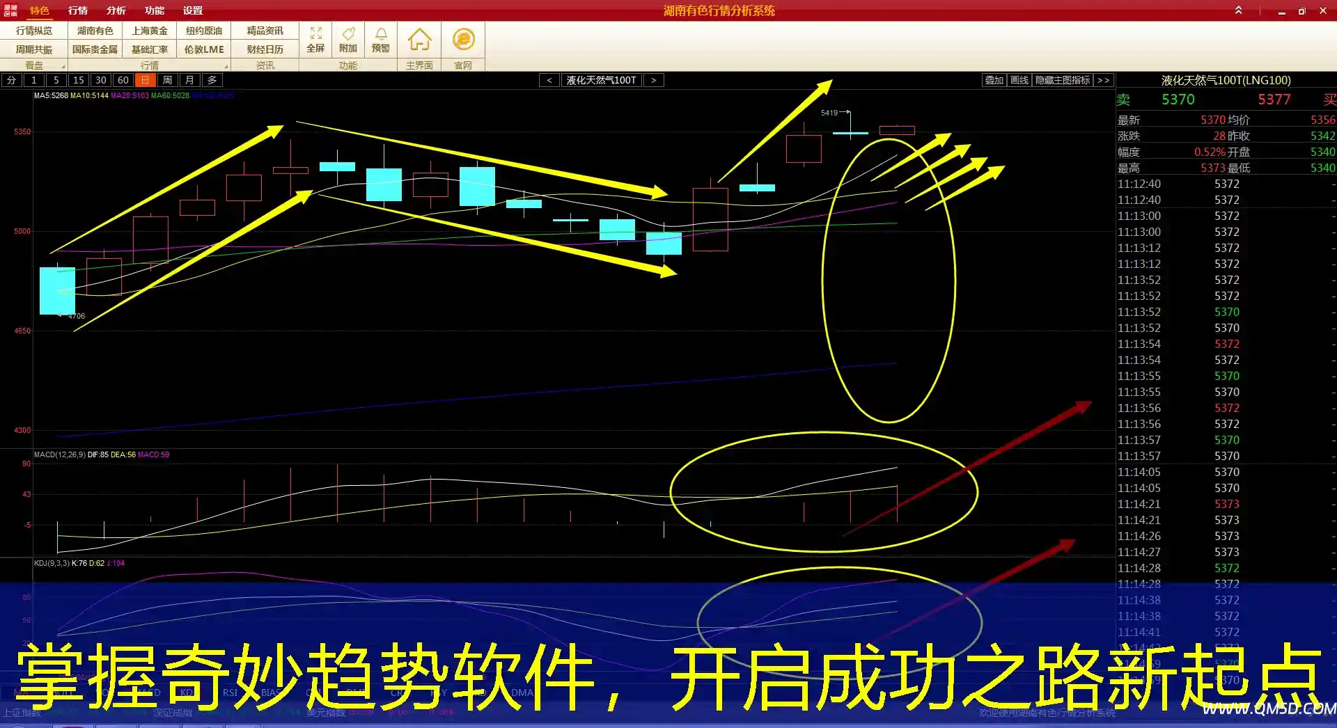 掌握奇妙趋势软件，开启成功之路新起点