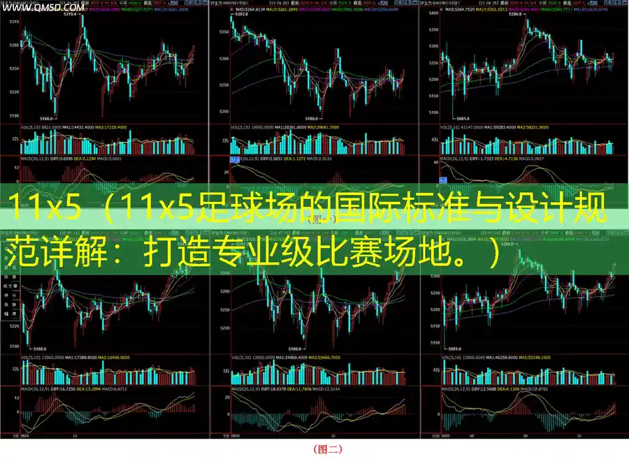 11x5（11x5足球场的国际标准与设计规范详解：打造专业级比赛场地。）