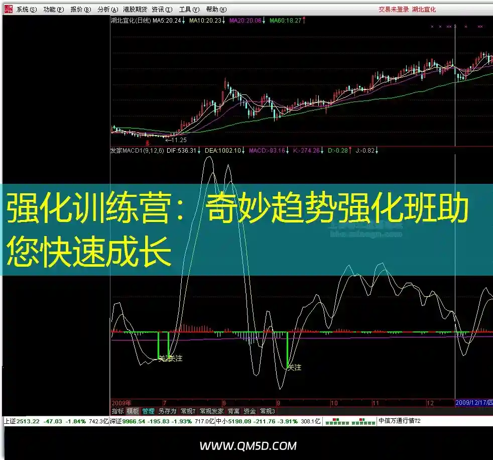 强化训练营：奇妙趋势强化班助您快速成长