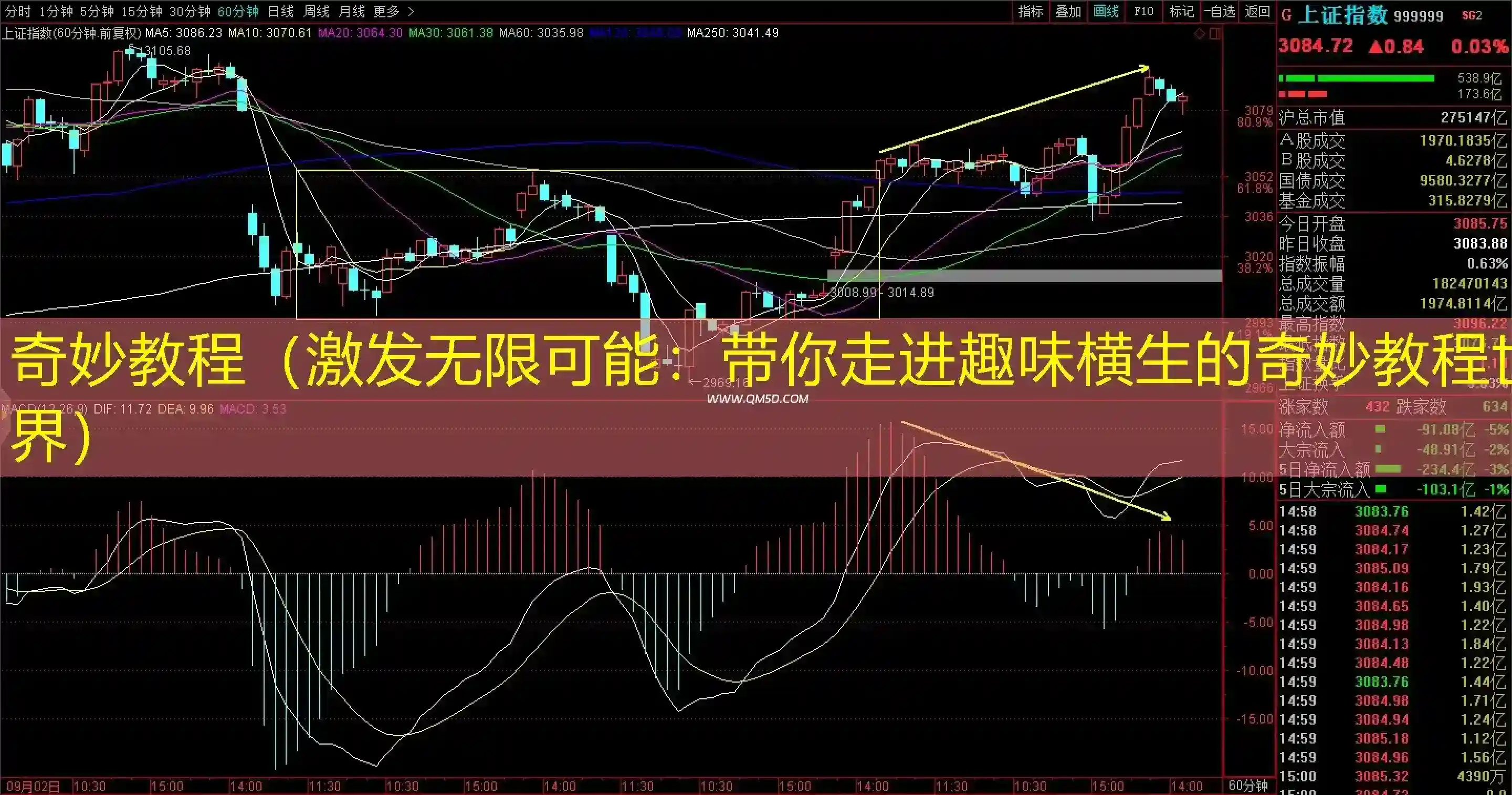 奇妙教程（激发无限可能：带你走进趣味横生的奇妙教程世界）
