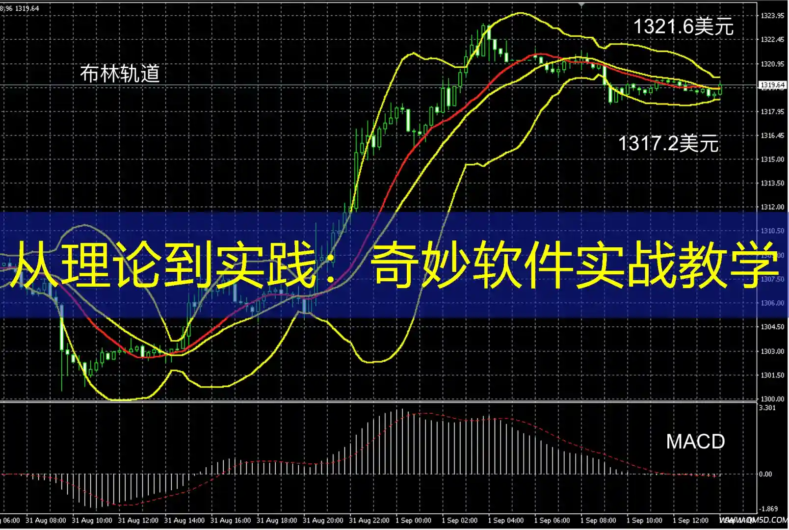 从理论到实践：奇妙软件实战教学