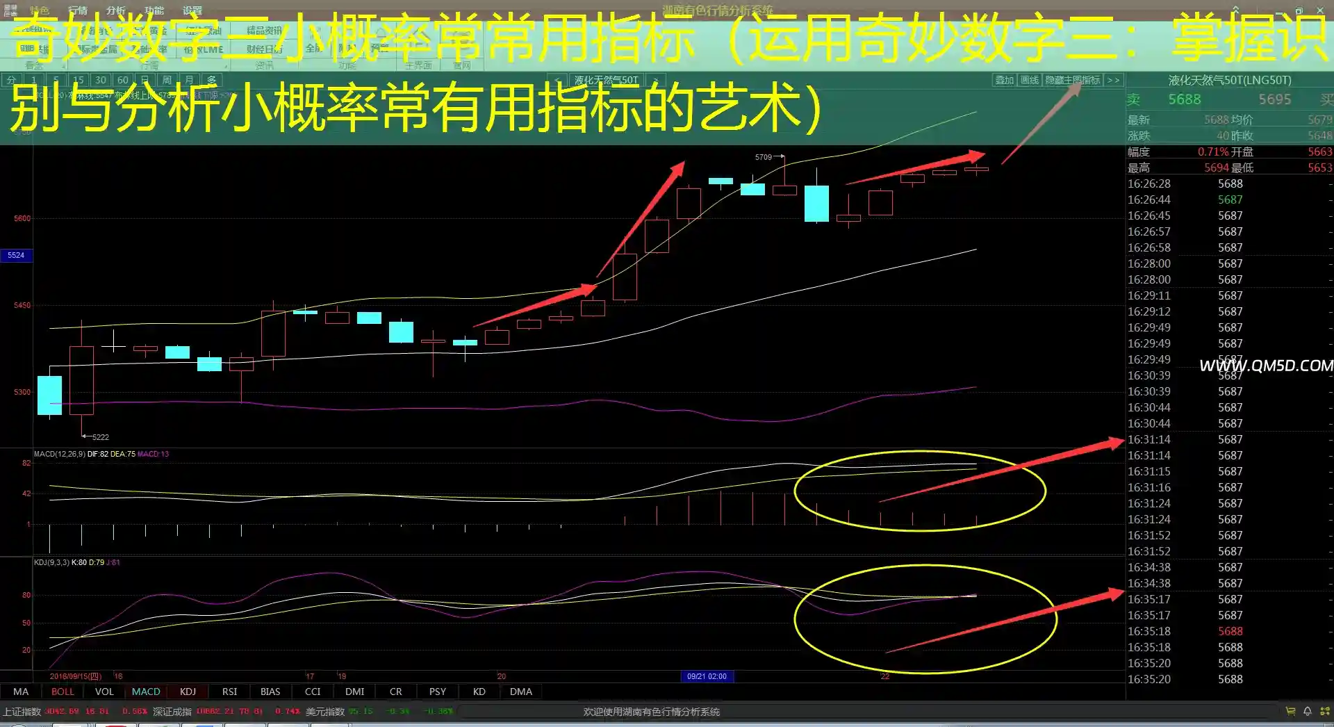奇妙数字三小概率常常用指标（运用奇妙数字三：掌握识别与分析小概率常有用指标的艺术）