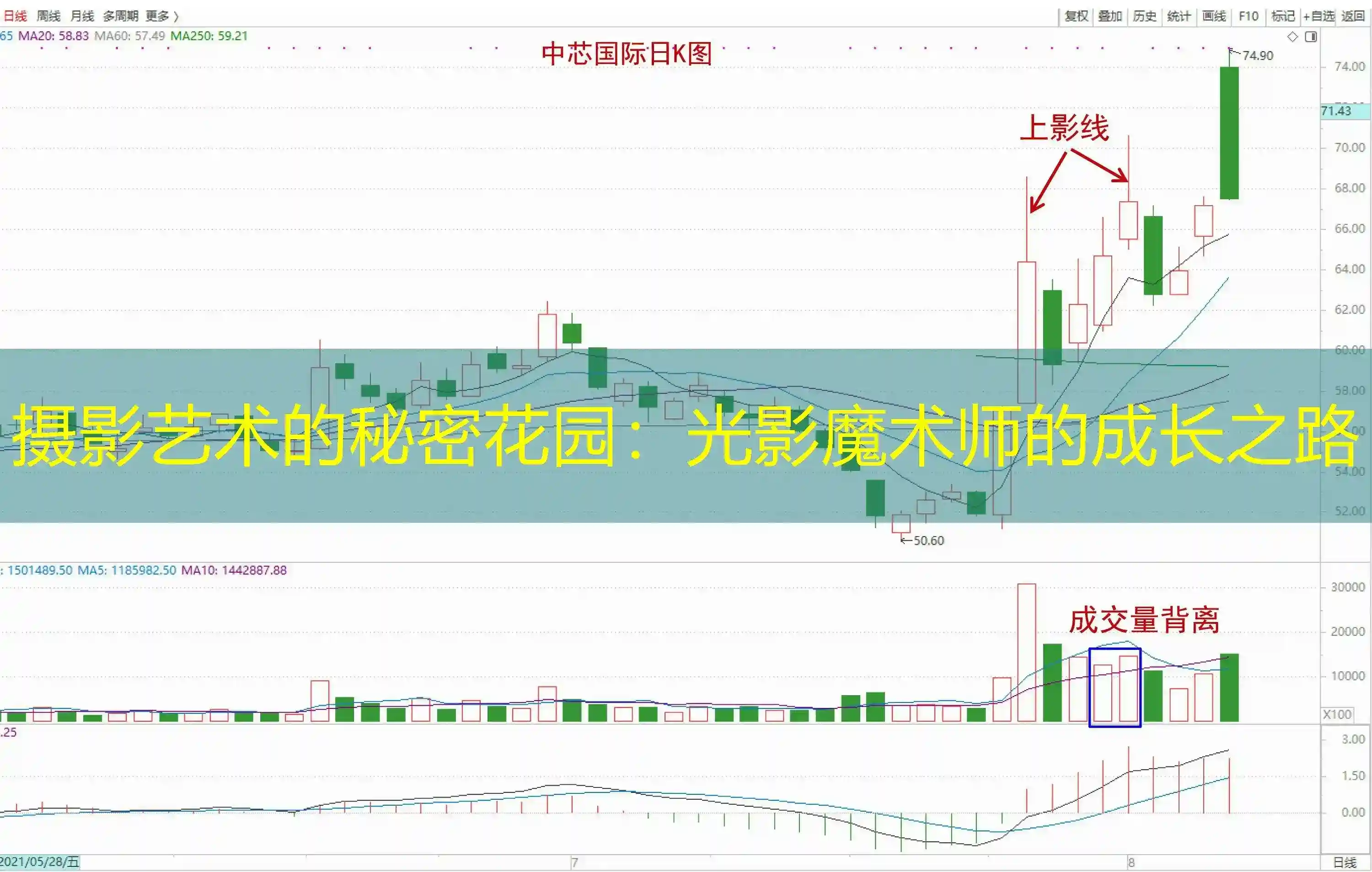 摄影艺术的秘密花园：光影魔术师的成长之路