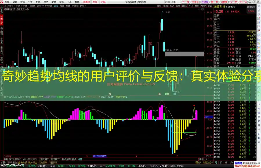 奇妙趋势均线的用户评价与反馈：真实体验分享