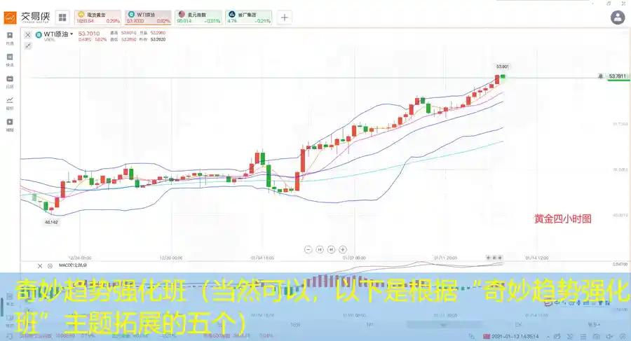 奇妙趋势强化班（当然可以，以下是根据“奇妙趋势强化班”主题拓展的五个）