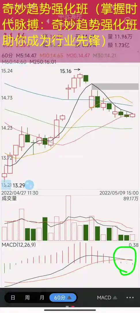 奇妙趋势强化班（掌握时代脉搏：奇妙趋势强化班助你成为行业先锋）