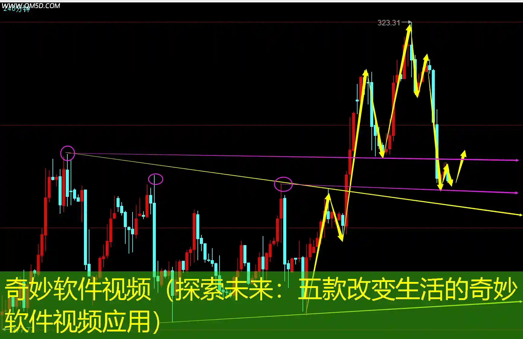 奇妙软件视频（探索未来：五款改变生活的奇妙软件视频应用）