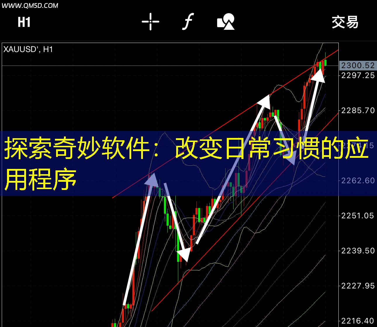 探索奇妙软件：改变日常习惯的应用程序