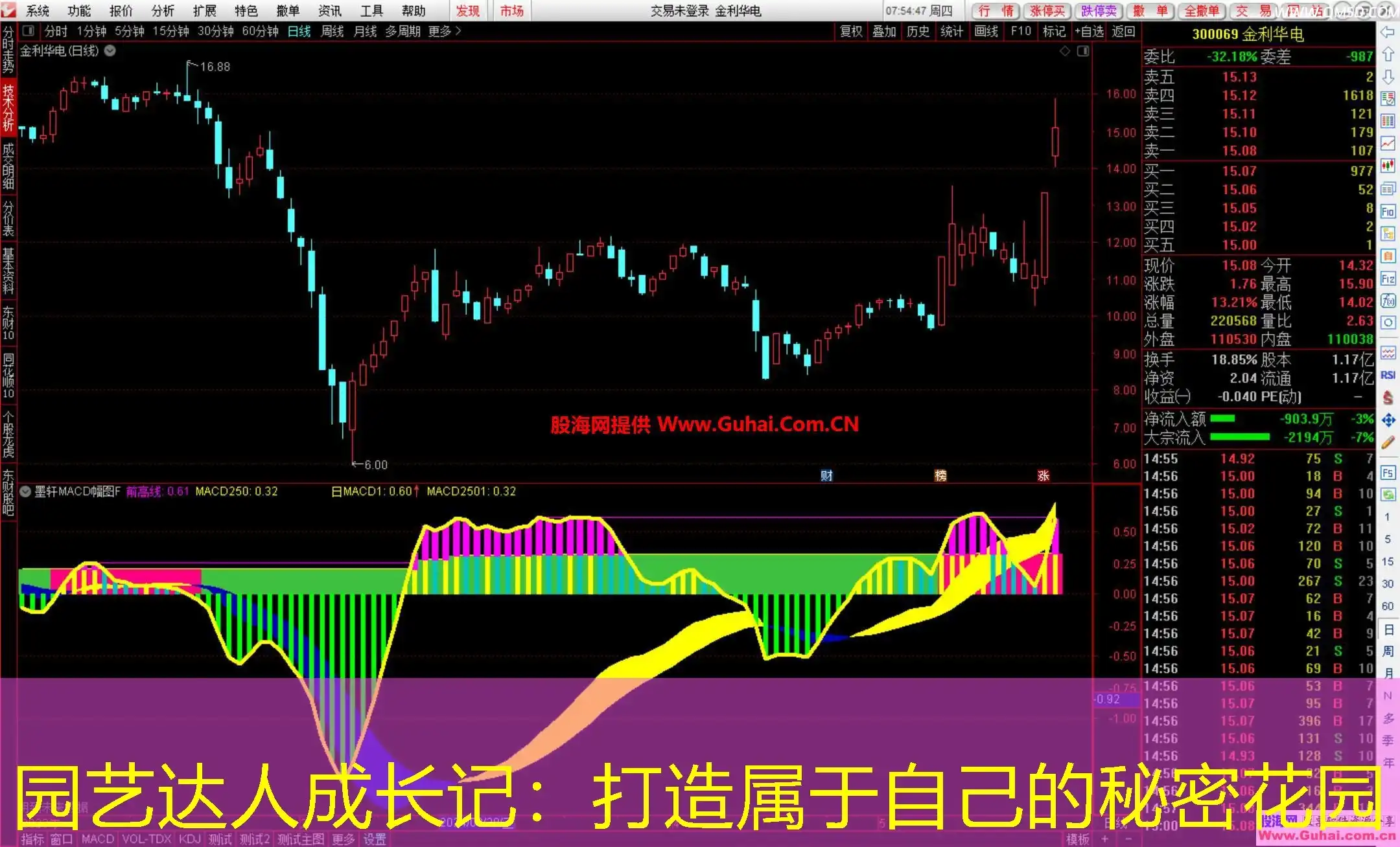园艺达人成长记：打造属于自己的秘密花园