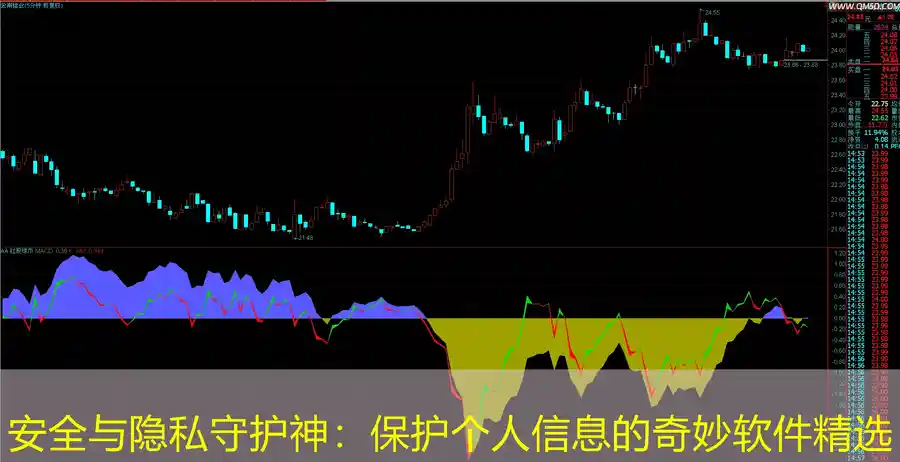 安全与隐私守护神：保护个人信息的奇妙软件精选