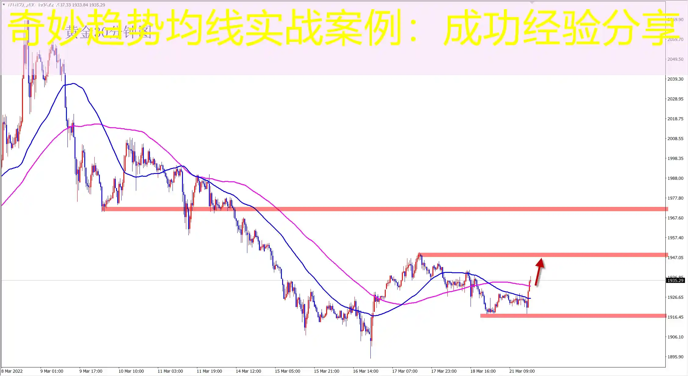 奇妙趋势均线实战案例：成功经验分享