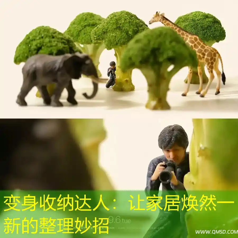 变身收纳达人：让家居焕然一新的整理妙招