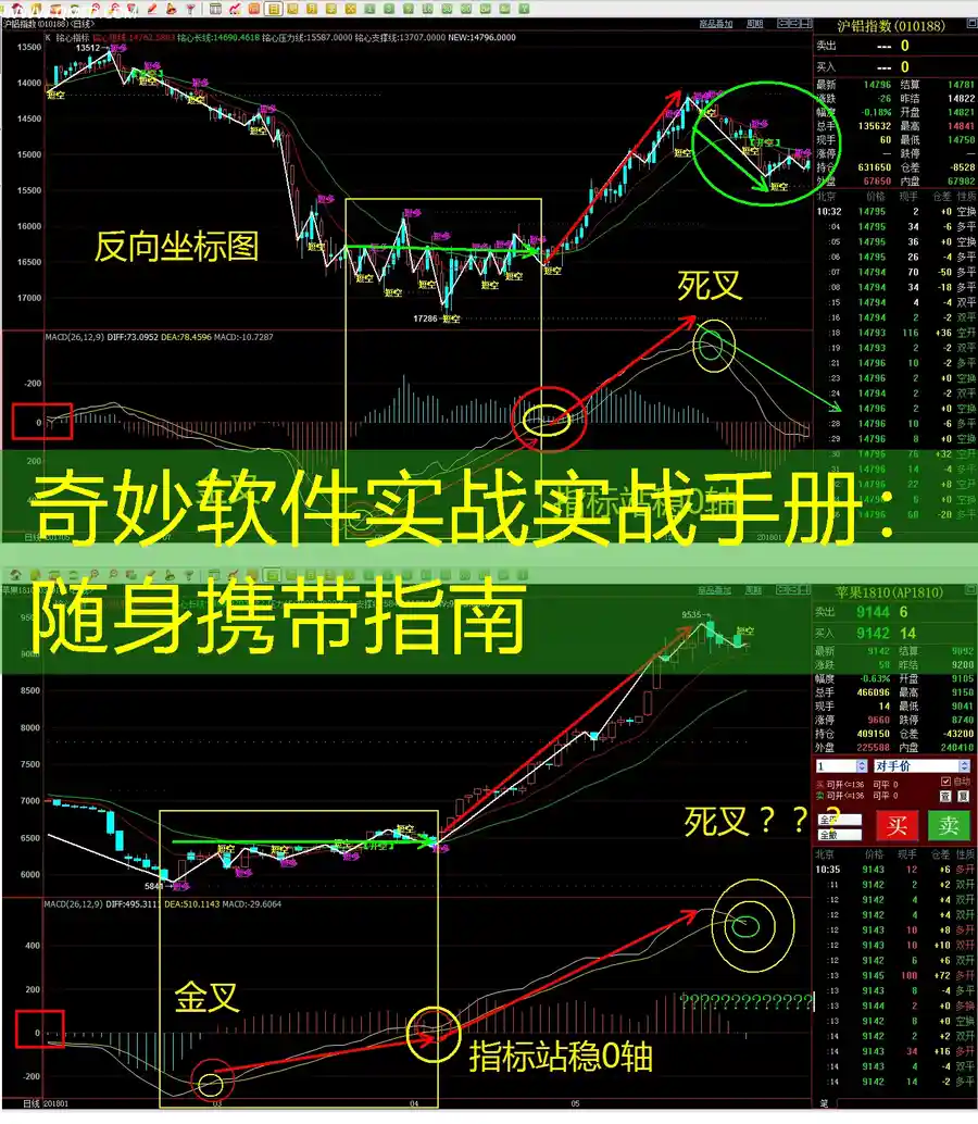 奇妙软件实战实战手册：随身携带指南