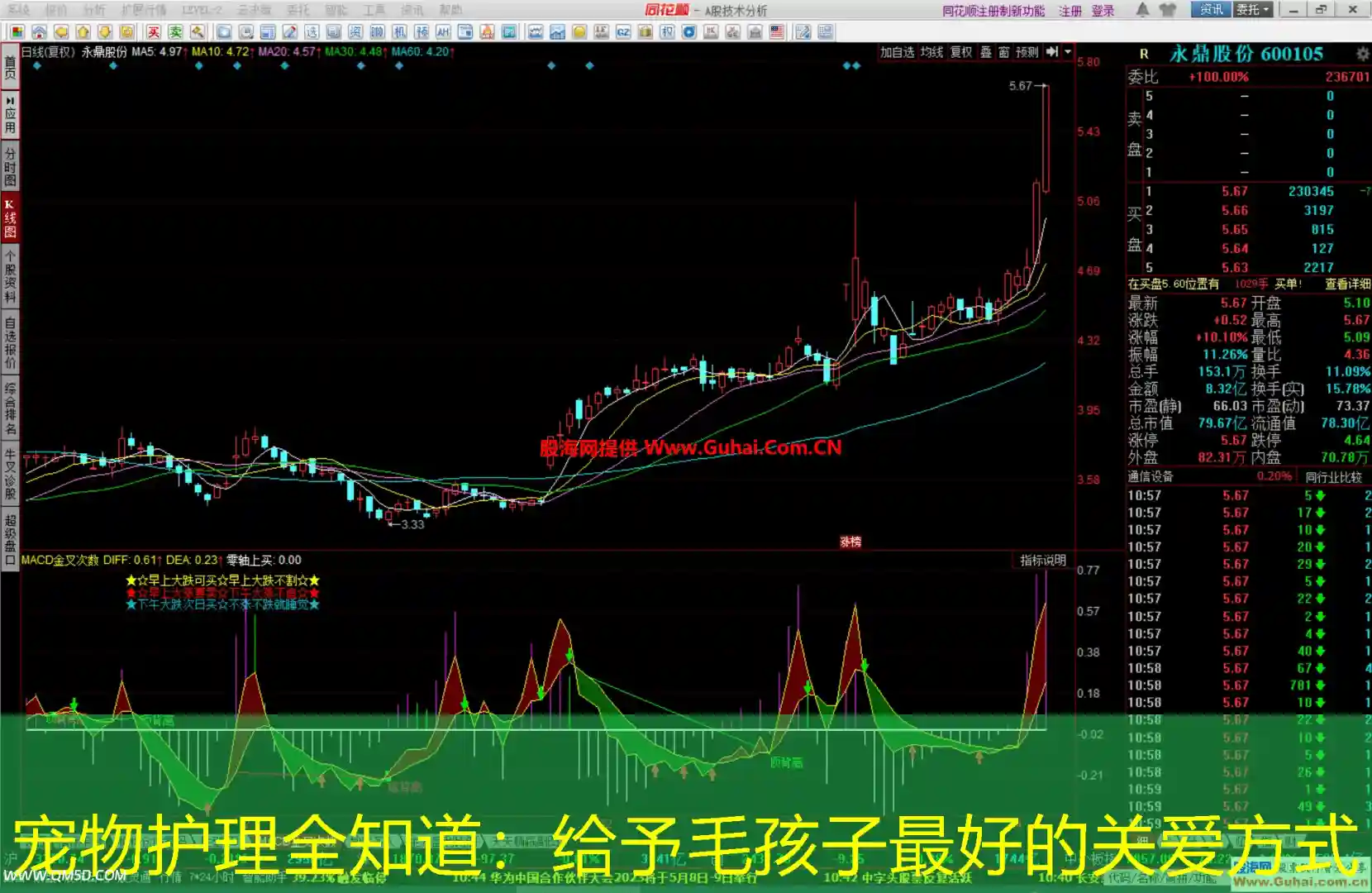 宠物护理全知道：给予毛孩子最好的关爱方式