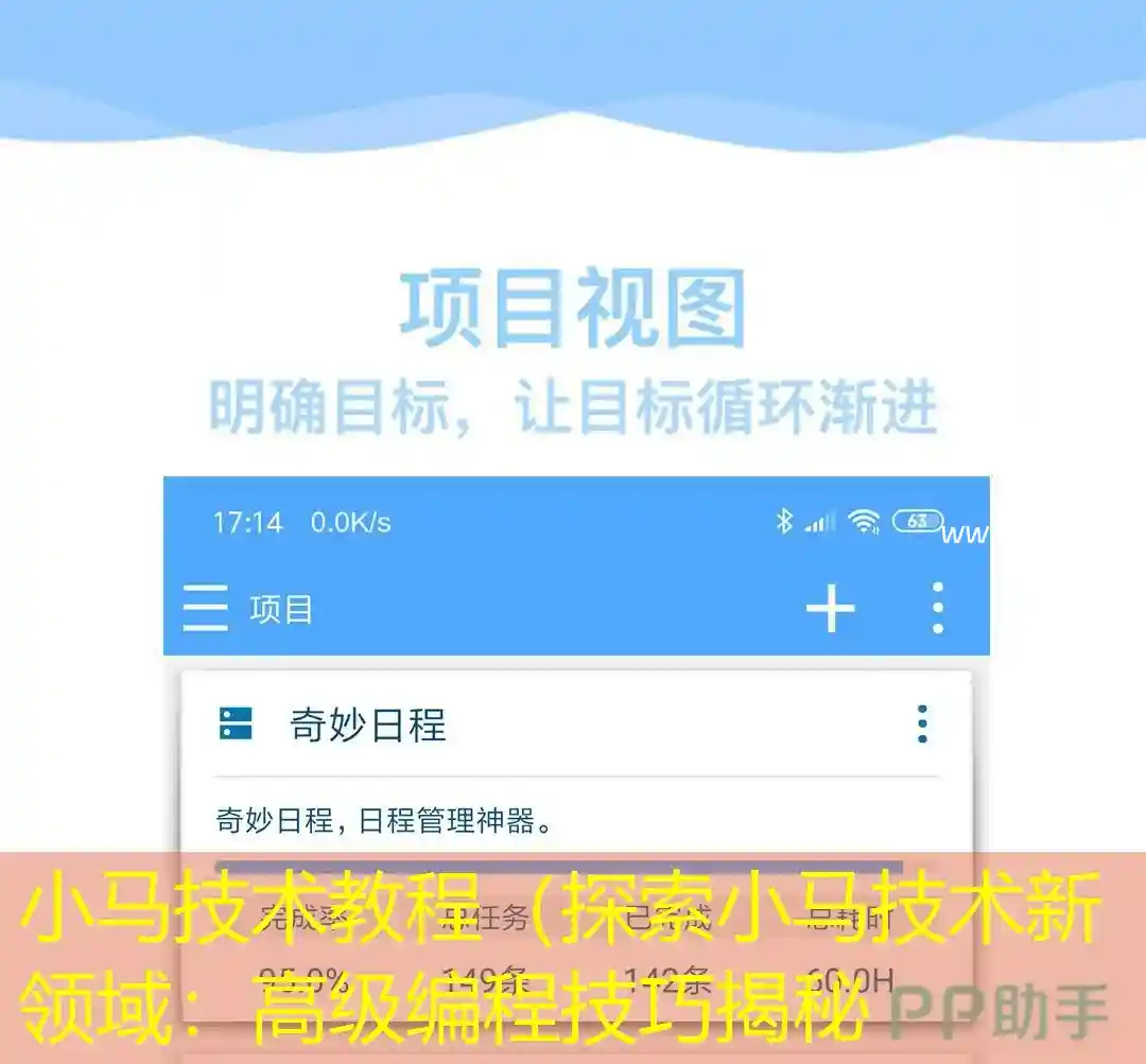 小马技术教程（探索小马技术新领域：高级编程技巧揭秘