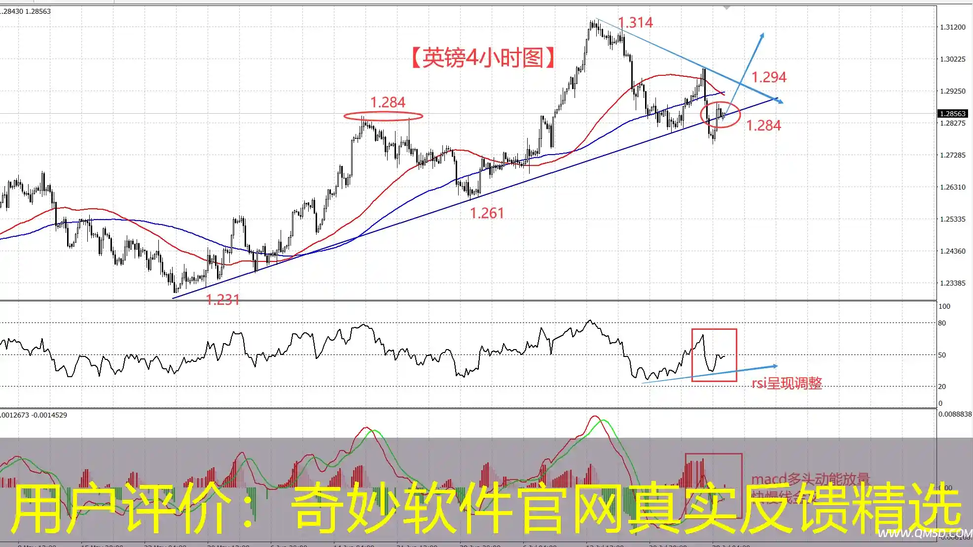 用户评价：奇妙软件官网真实反馈精选