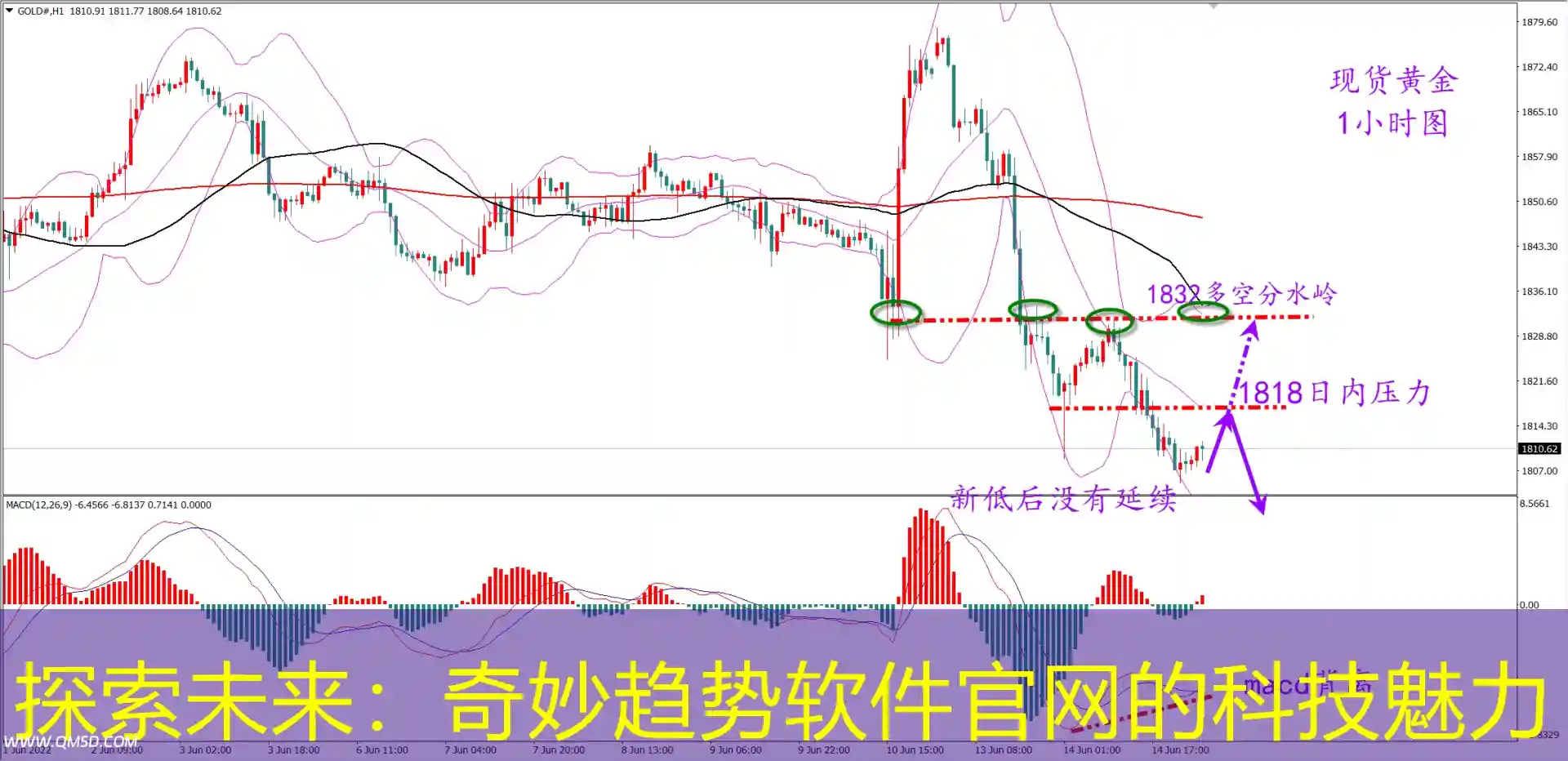 探索未来：奇妙趋势软件官网的科技魅力