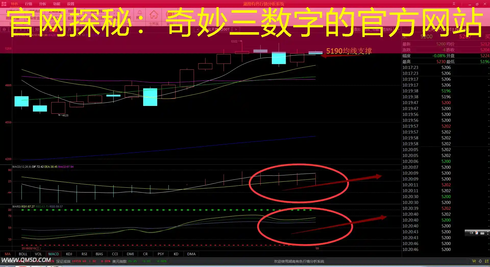 官网探秘：奇妙三数字的官方网站