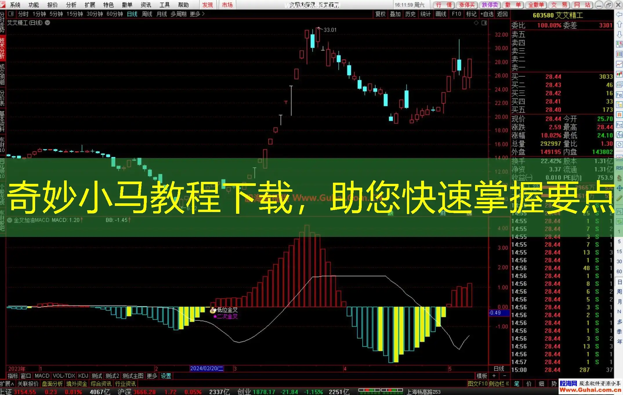 奇妙小马教程下载，助您快速掌握要点