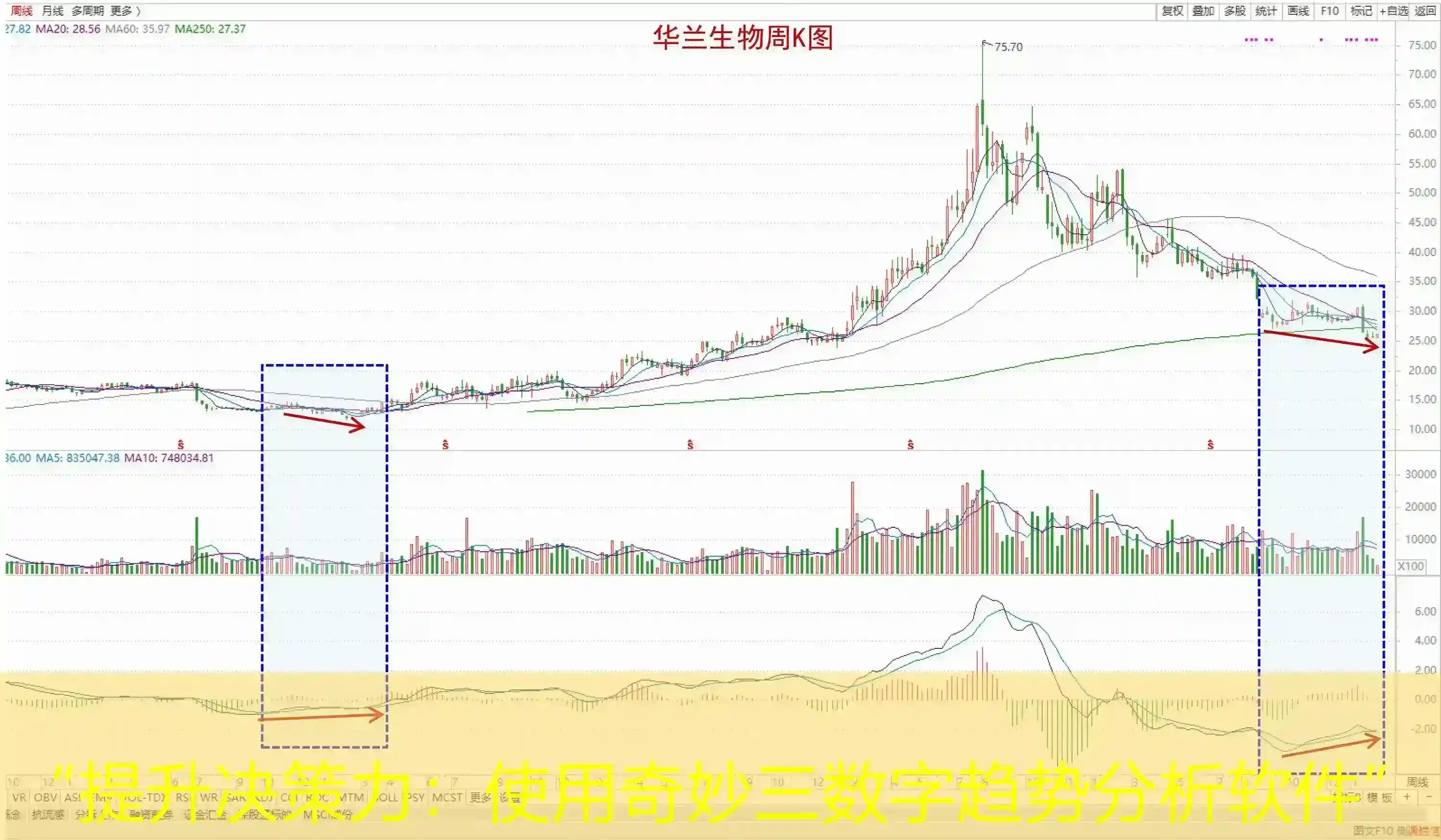 “提升决策力：使用奇妙三数字趋势分析软件”
