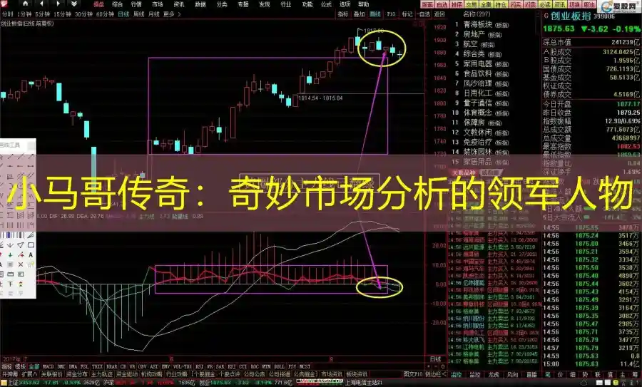 小马哥传奇：奇妙市场分析的领军人物