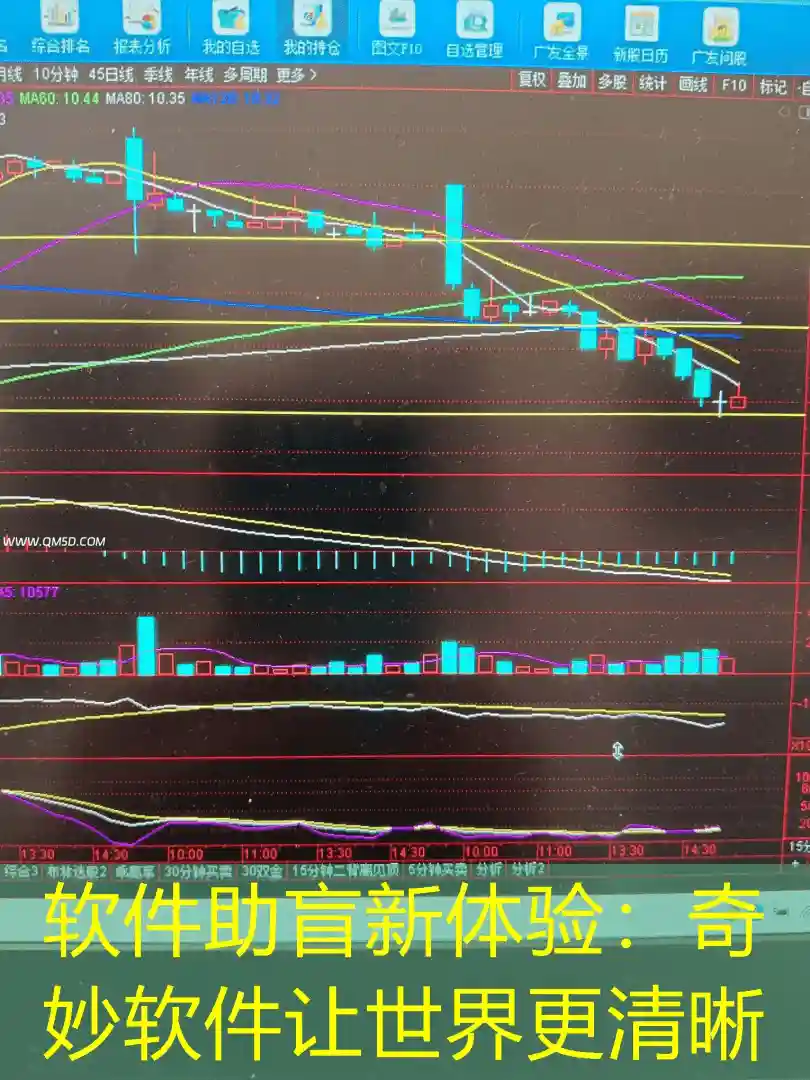 软件助盲新体验：奇妙软件让世界更清晰