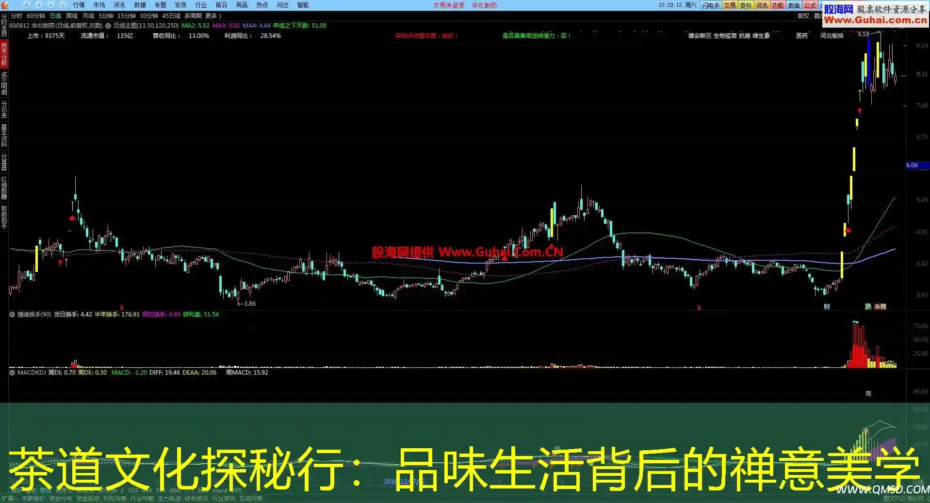 茶道文化探秘行：品味生活背后的禅意美学