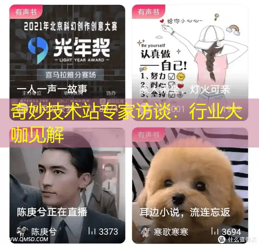 奇妙技术站专家访谈：行业大咖见解
