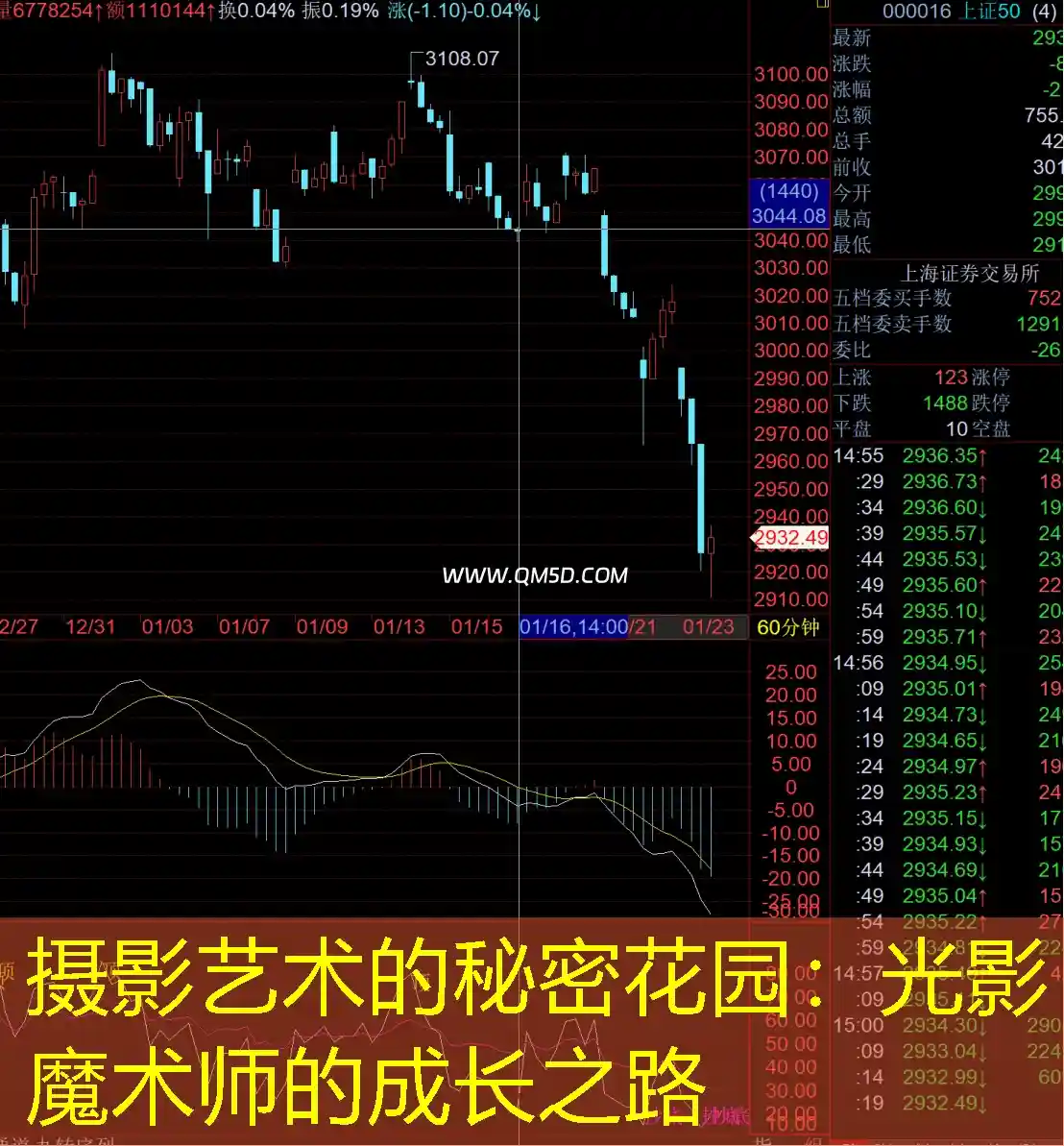 摄影艺术的秘密花园：光影魔术师的成长之路