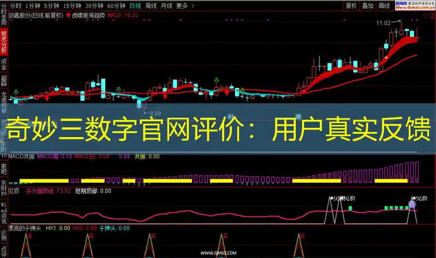 奇妙三数字官网评价：用户真实反馈