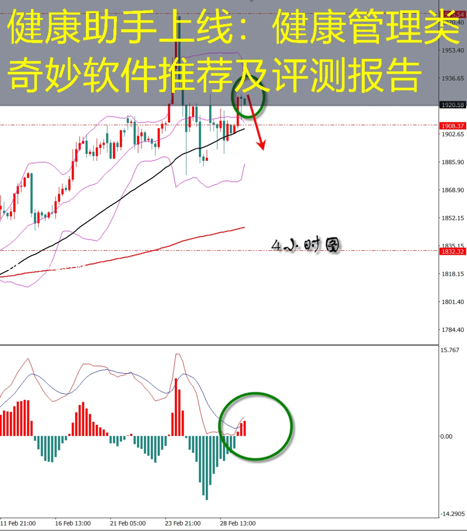 健康助手上线：健康管理类奇妙软件推荐及评测报告
