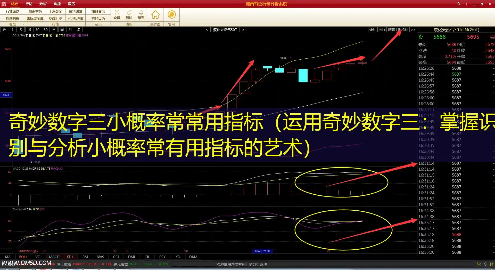 奇妙数字三小概率常常用指标（运用奇妙数字三：掌握识别与分析小概率常有用指标的艺术）