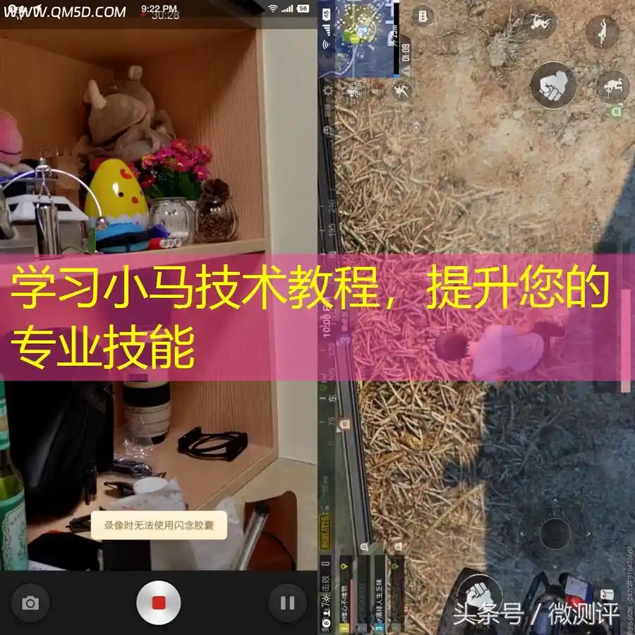 学习小马技术教程，提升您的专业技能