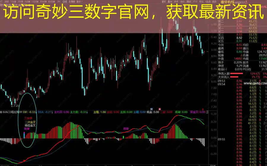 访问奇妙三数字官网，获取最新资讯