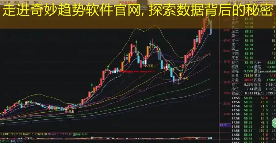 走进奇妙趋势软件官网, 探索数据背后的秘密