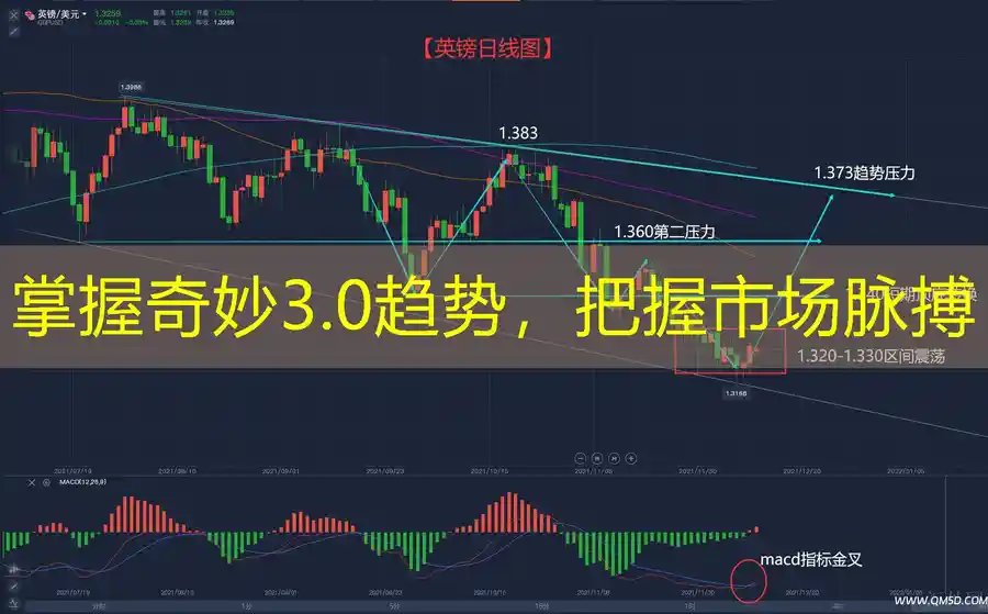 掌握奇妙3.0趋势，把握市场脉搏