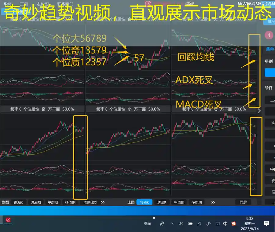 奇妙趋势视频，直观展示市场动态