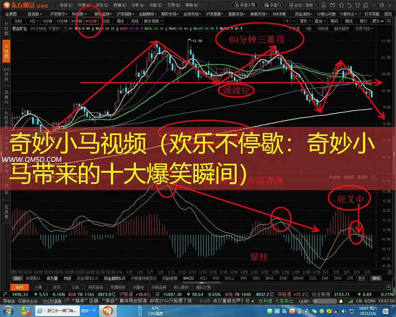 奇妙小马视频（欢乐不停歇：奇妙小马带来的十大爆笑瞬间）