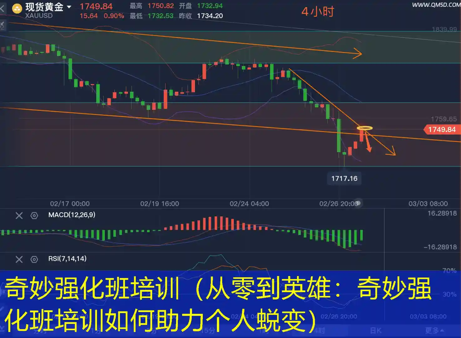 奇妙强化班培训（从零到英雄：奇妙强化班培训如何助力个人蜕变）