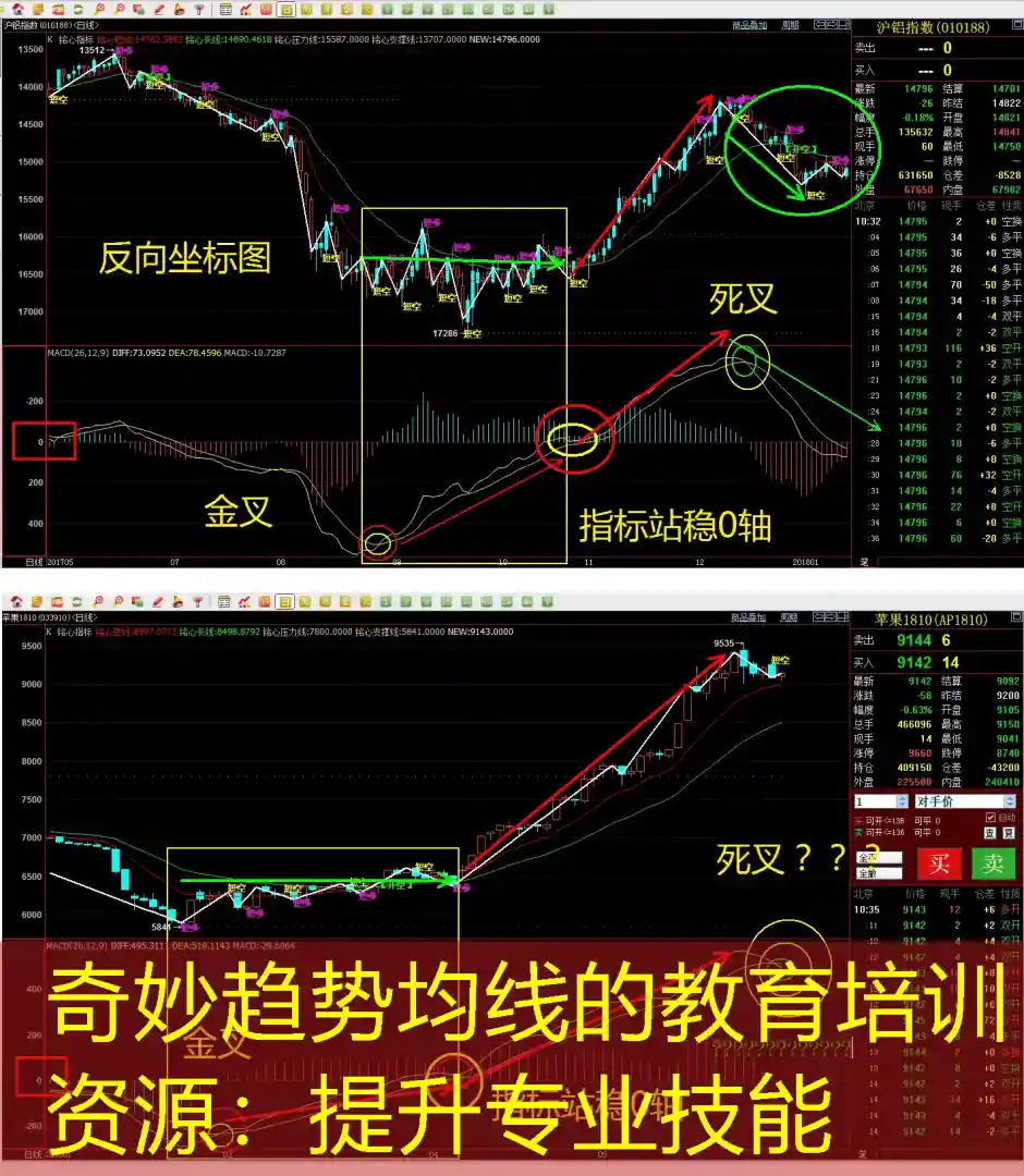 奇妙趋势均线的教育培训资源：提升专业技能