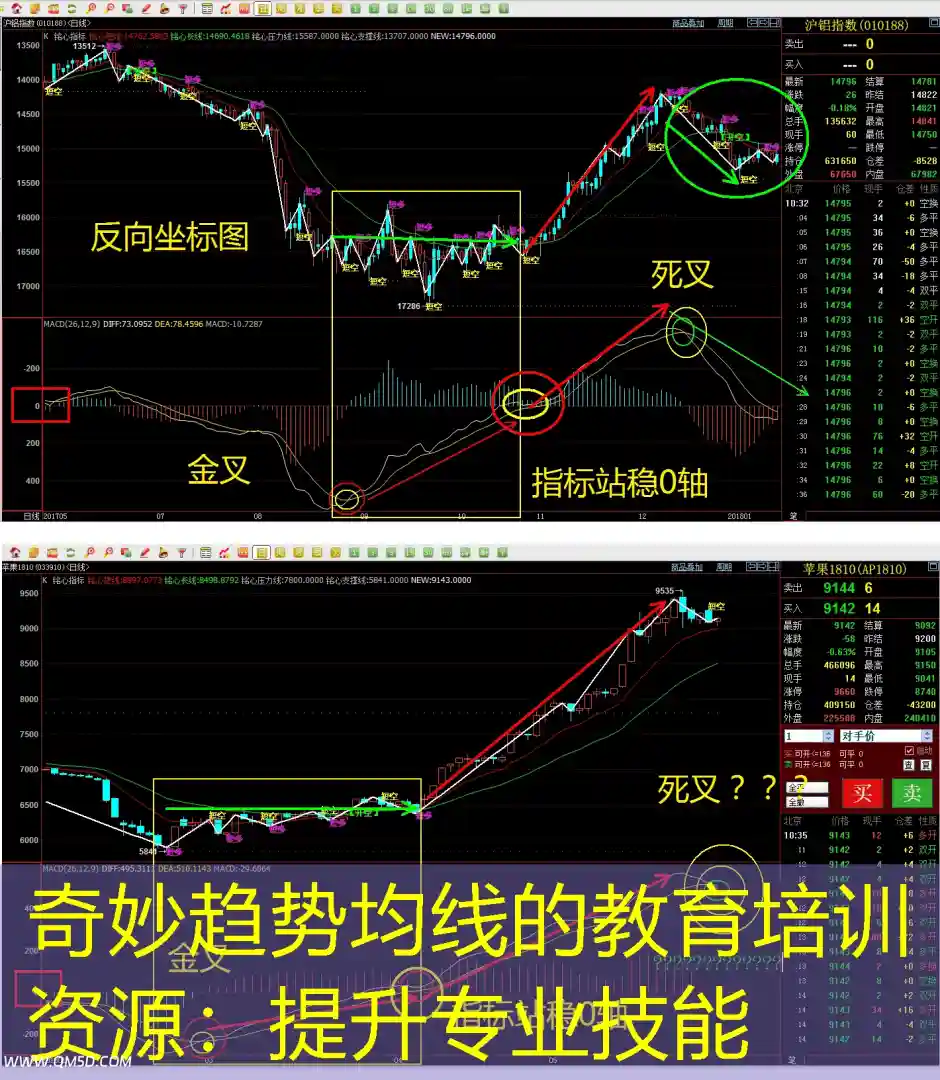 奇妙趋势均线的教育培训资源：提升专业技能